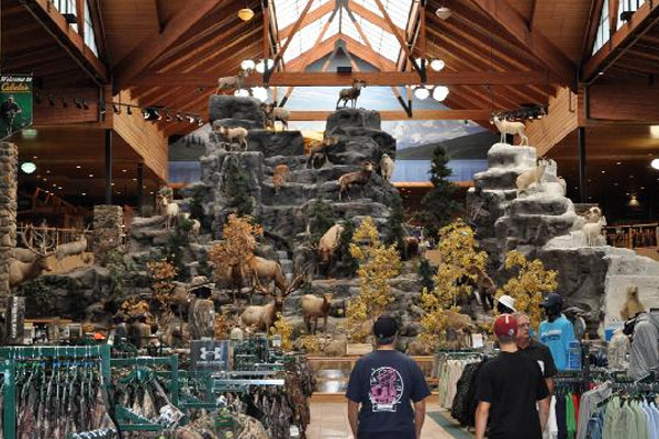 Cabela's Outfitters