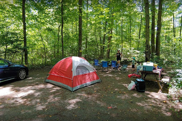 Tent Campsites image #2 